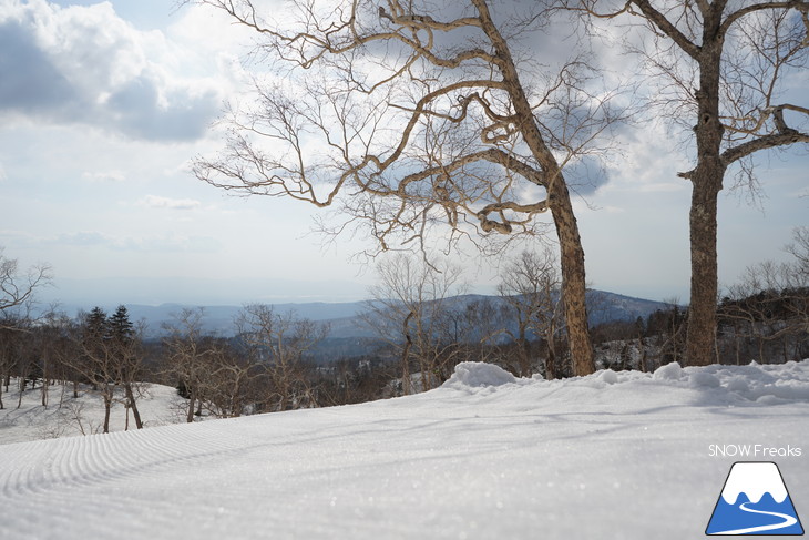大雪山旭岳ロープウェイスキー場　カムイミンタラ『神々の遊ぶ庭』で春を楽しむ！